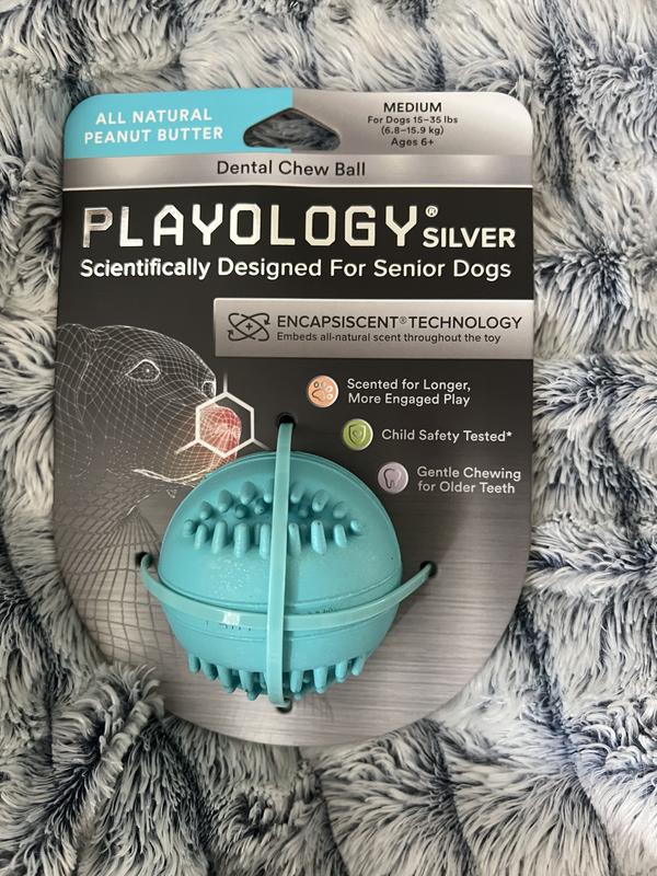 Playology Silver Dental Chew Ball Dog Toy, Medium Senior Dogs
