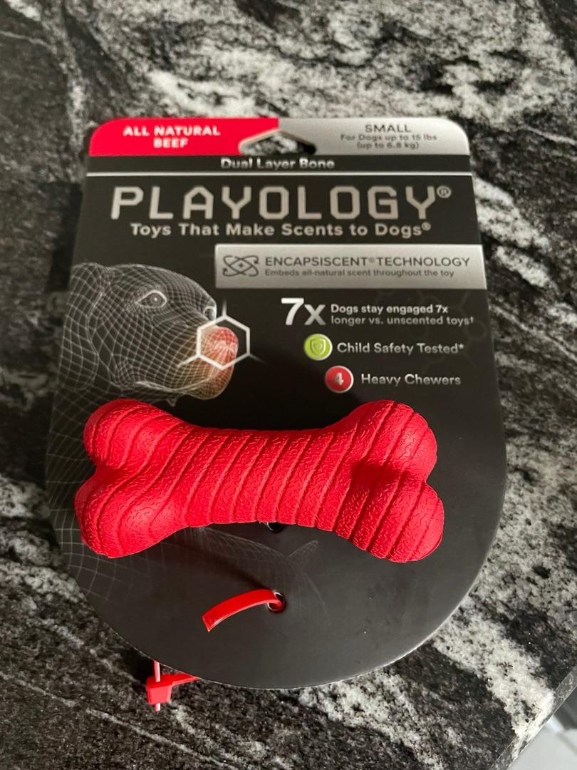 Playology Dual Layer Bone Beef Dog Toy Small Petco