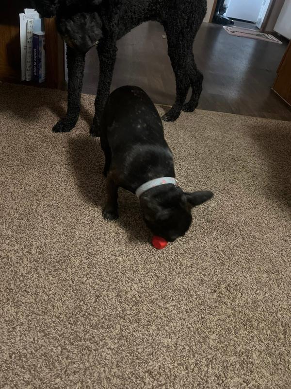 Little sis is trying to steal the red stick!!