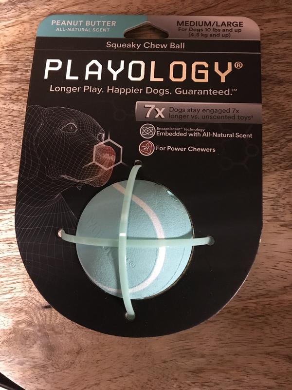 Playology® Scented Plush Squeaker Bone Dog Toy - Beef