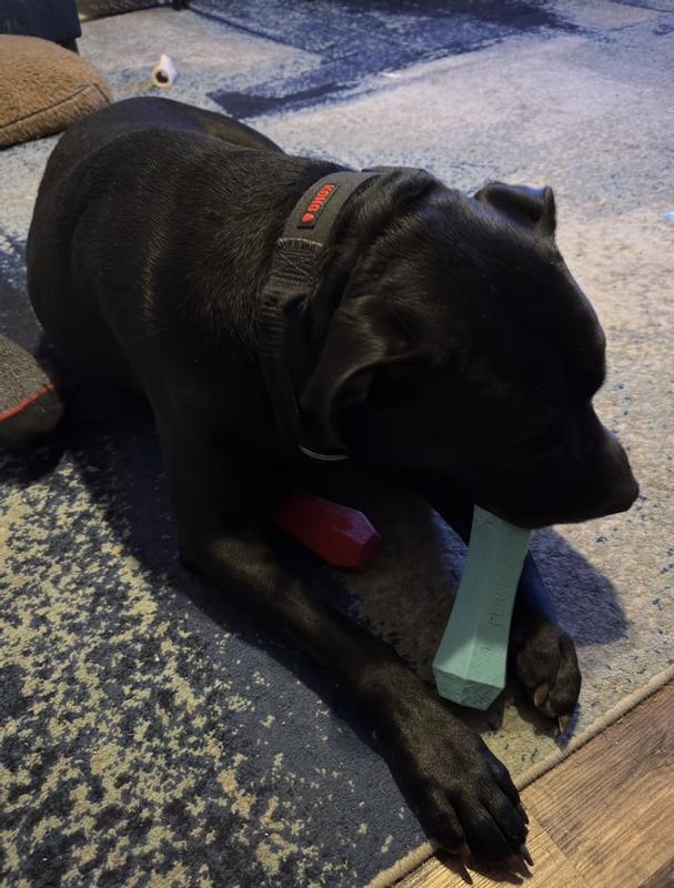 The Best Toy Ever