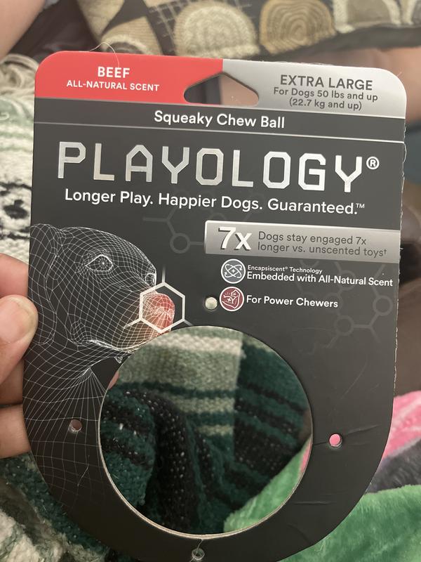 Playology Dual Layer Bone Dog Toy - Beef - Medium