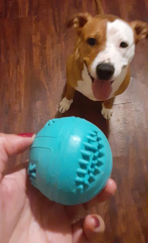 Playology Dental Chew Ball Dog Toy Pork Sausage Large