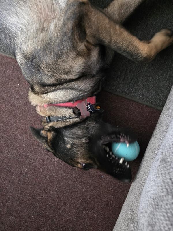She loves this ball!!