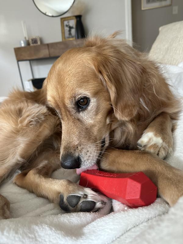 Squeak Cleaning Chew Luxury Dog Toys– brightdealsdirect