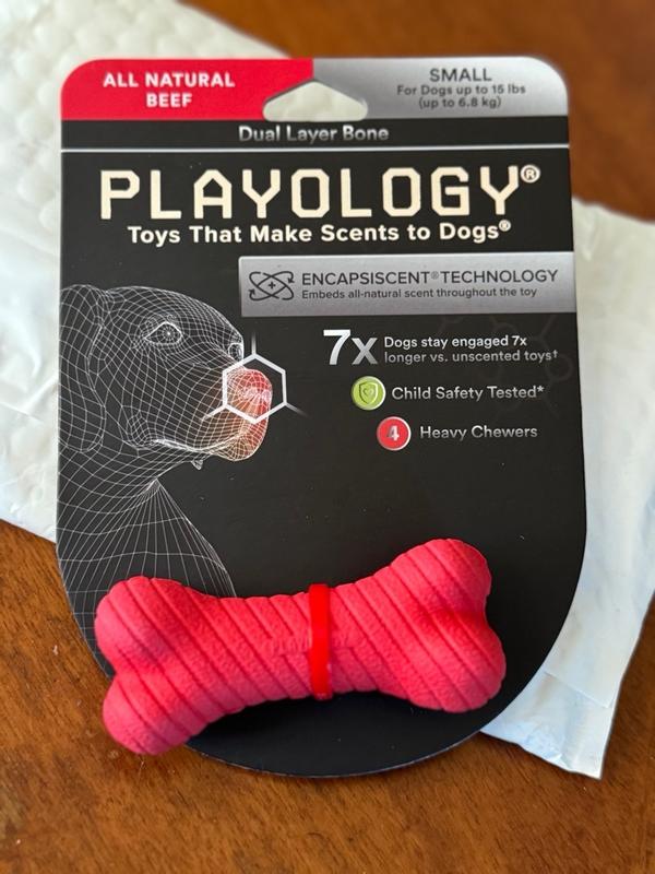 Playology Dual Layer Bone Beef Scented Dog Toy Petsense
