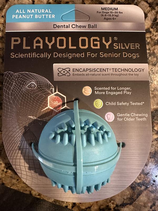 Playology Silver Dental Chew Ball Dog Toy, Medium Senior Dogs