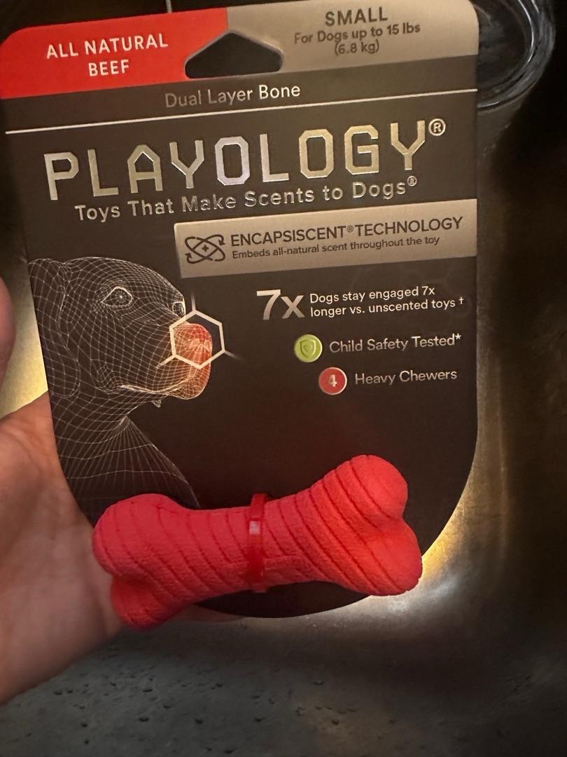 Playology Dual Layer Bone Beef Dog Toy Small Petco