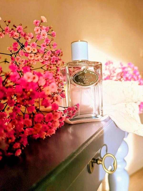 Infusion D'Amande Eau de Parfum | Prada Beauty Official Site