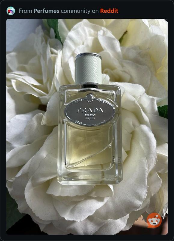Women's Scent Edit - Exclusive