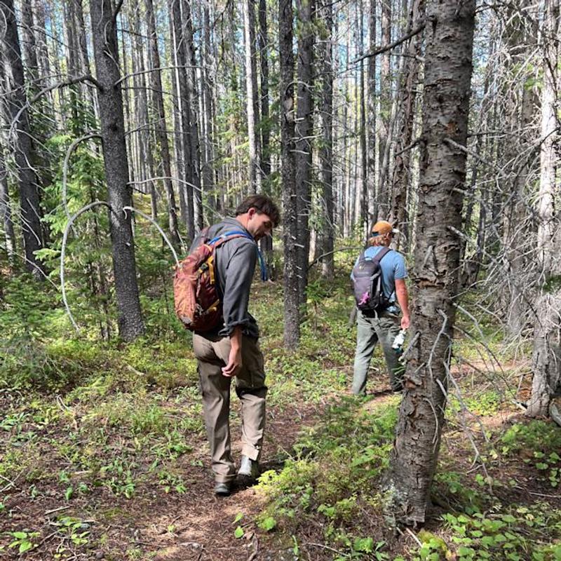 Customer photo for "Great pant for anything you can throw at them"