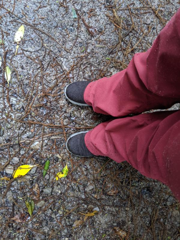 User uploaded product image