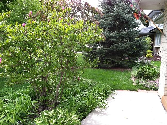 Two of our eight perennial gardens