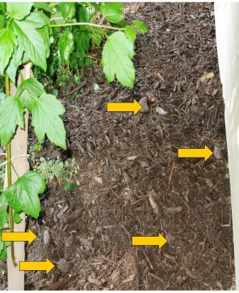 Preen Mulch With Extended Control Weed Preventer Preen