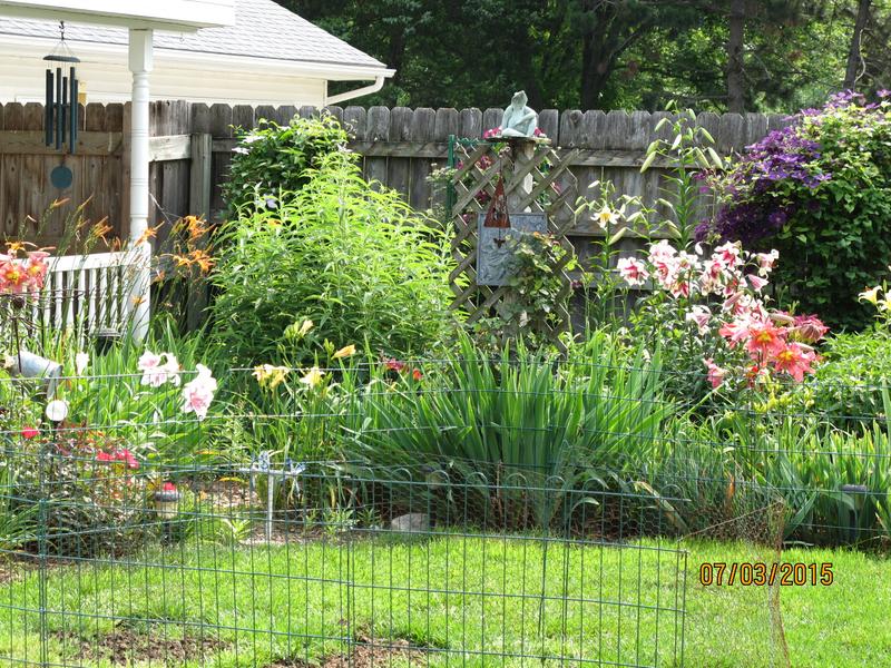 Not one weed in this entire area!