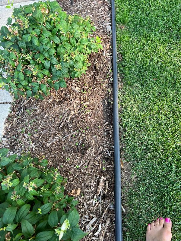 Weeds everywhere!