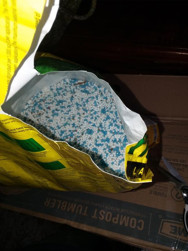 Inside bag