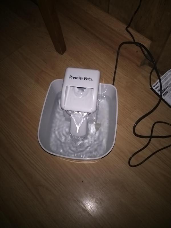 premier pet water fountain