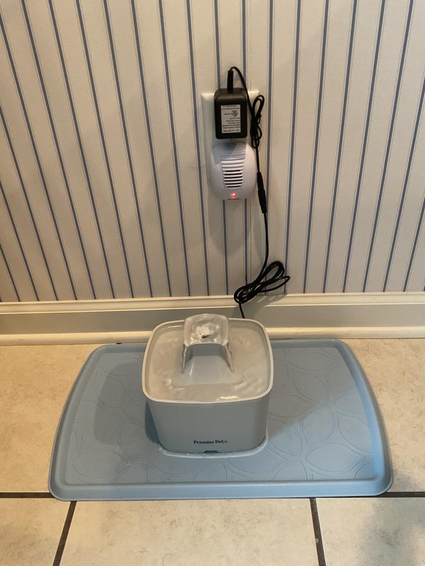 Review photo 2.