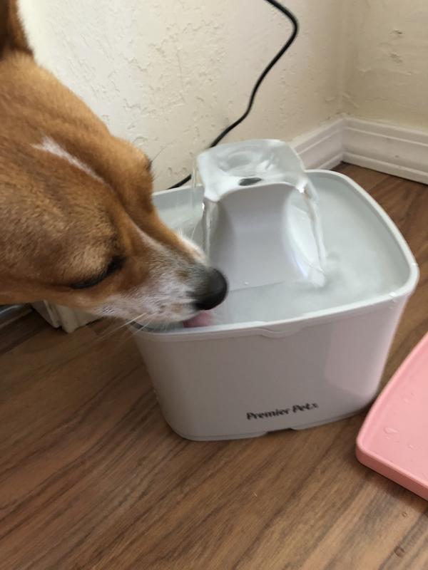 60 Ounce Pet Fountain Meijer