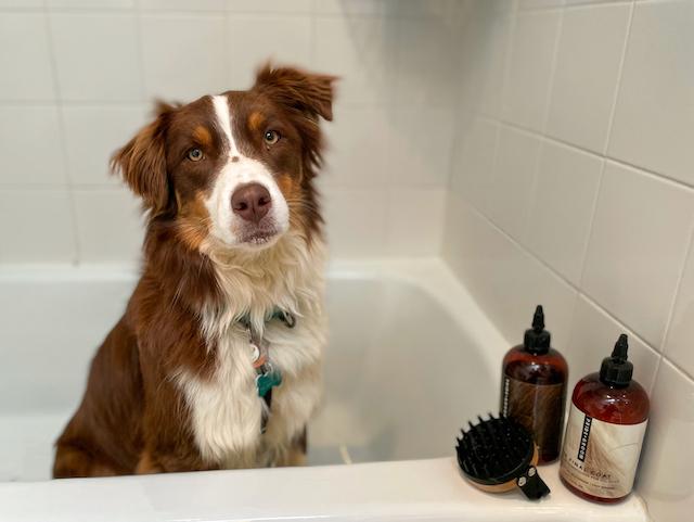 Pride + Groom The Bath Brush