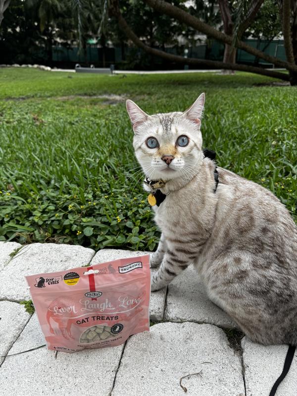 Pork liver for cats best sale