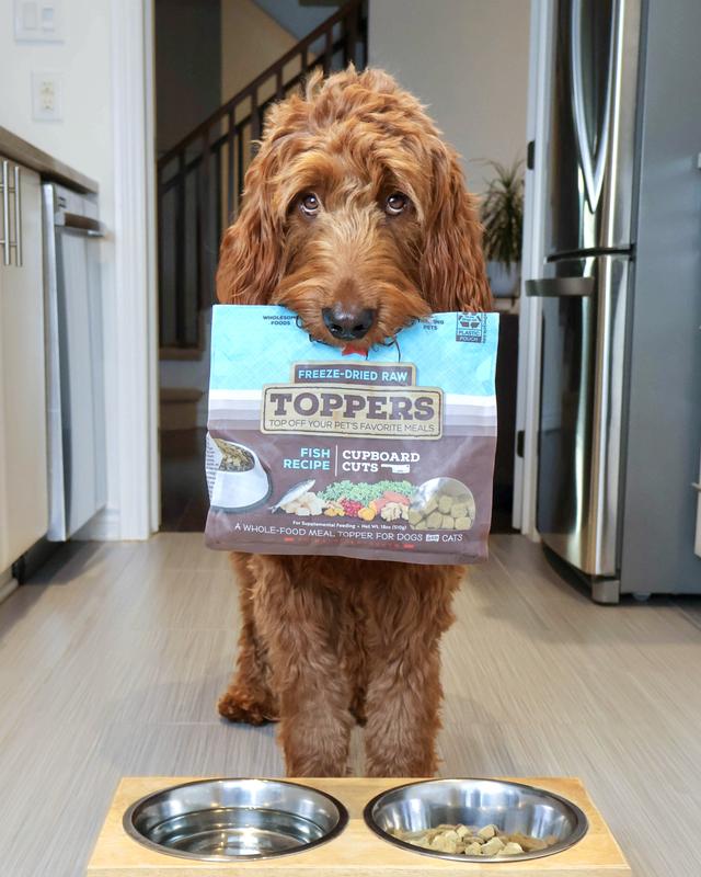 Freeze-Dried Raw Toppers Fish – Primal Pet Foods