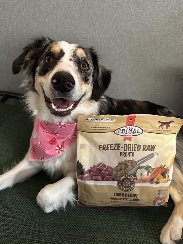 Primal freeze dried outlet review