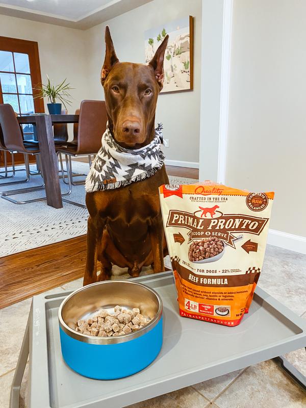 Primal dog food outlet review