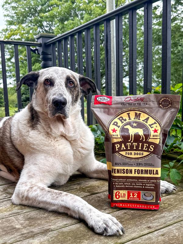 Frozen Raw Patties Dog Food Venison Recipe Primal Pet Foods