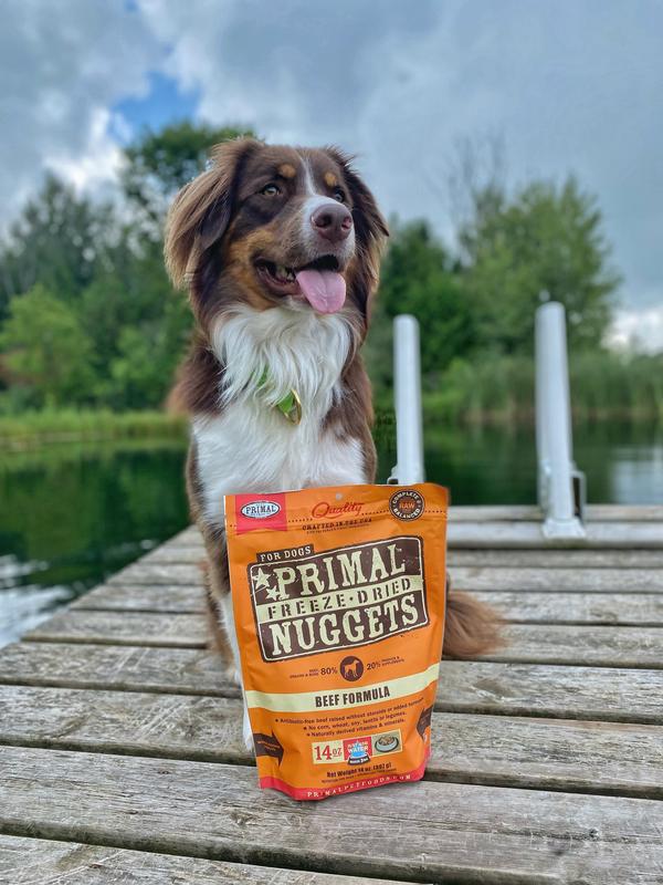 Primal 14oz Dog Freeze-Dried Nuggets Beef Recipe – Petsense
