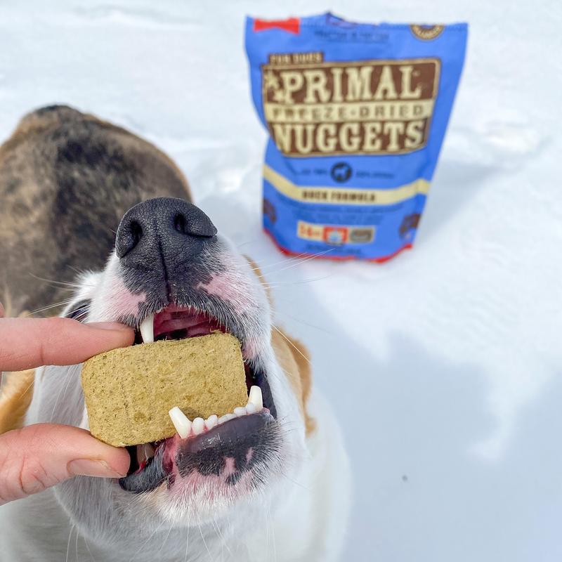 Primal freeze dried nuggets review best sale