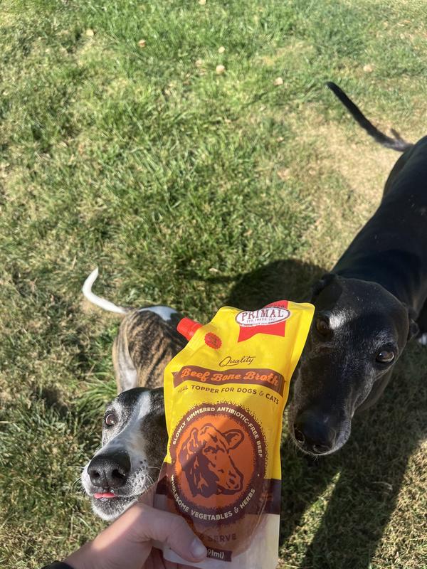 Bone Broth for Dogs Cats Beef Recipe Primal Pet Foods