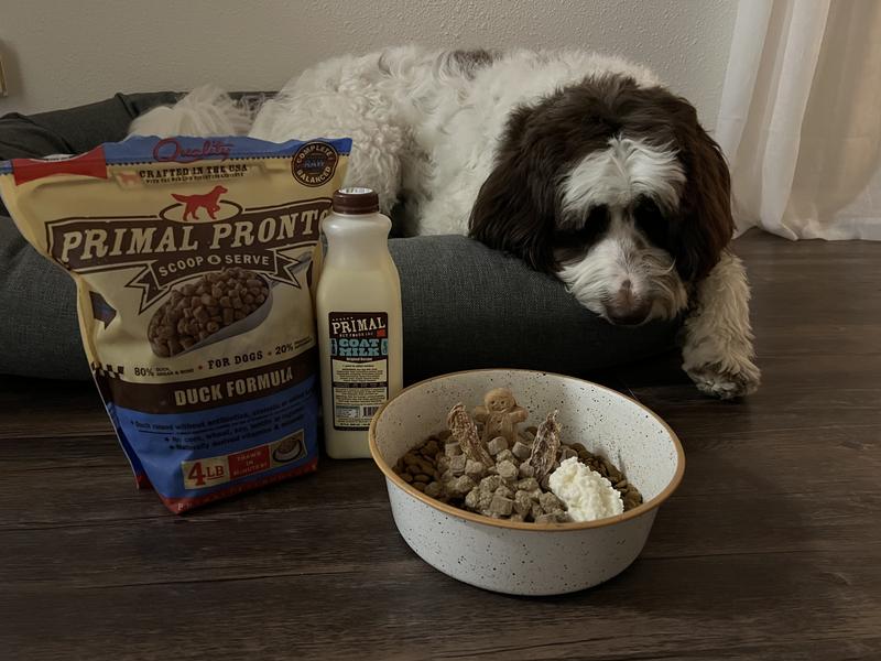 Primal dog food outlet review