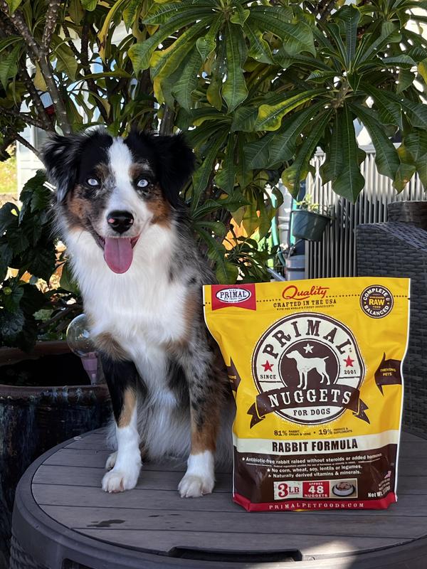 Primal dog food on sale review