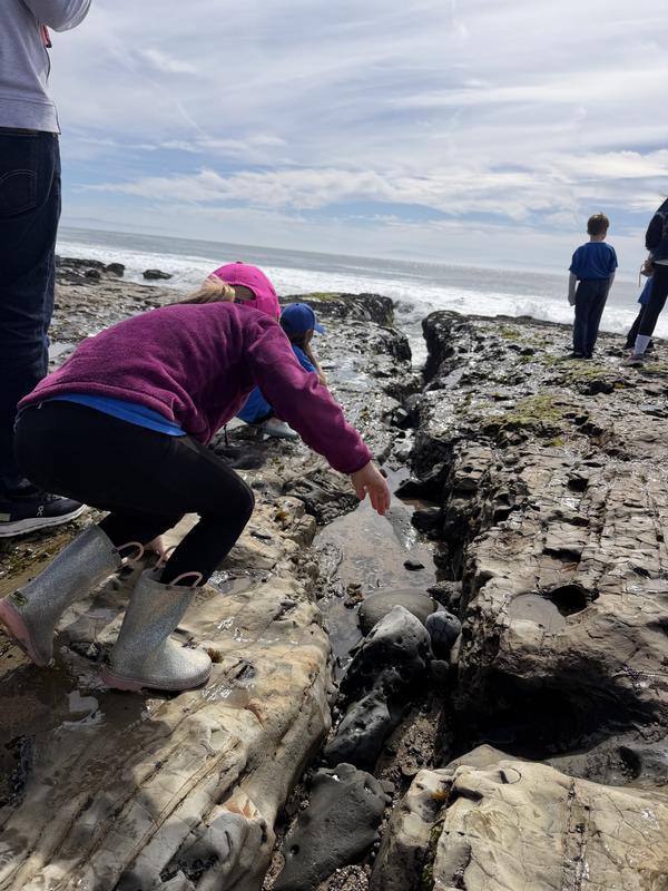 Review Thumbnail Image 0 382282491