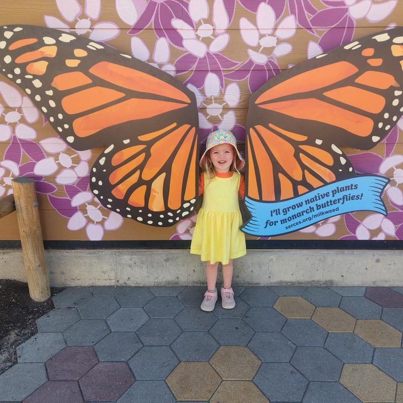 Review Thumbnail Image 0 382992345