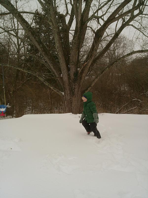 Review Thumbnail Image 0 378525717