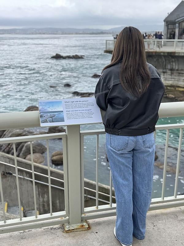 Customer photo for "Looks just like the photos,"
