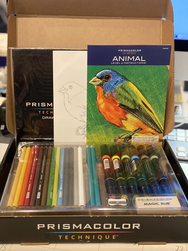 Technique Bird Drawing Art Set, Digital Lessons, Level 2