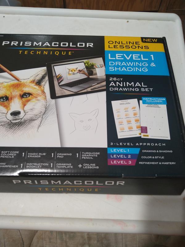 Prismacolor Technique Digital Art Lesson, Animal Drawing Set, Level 1 How  to Draw Animals with Colored Pencils, Graphite Pencils, Fox Drawing Lesson