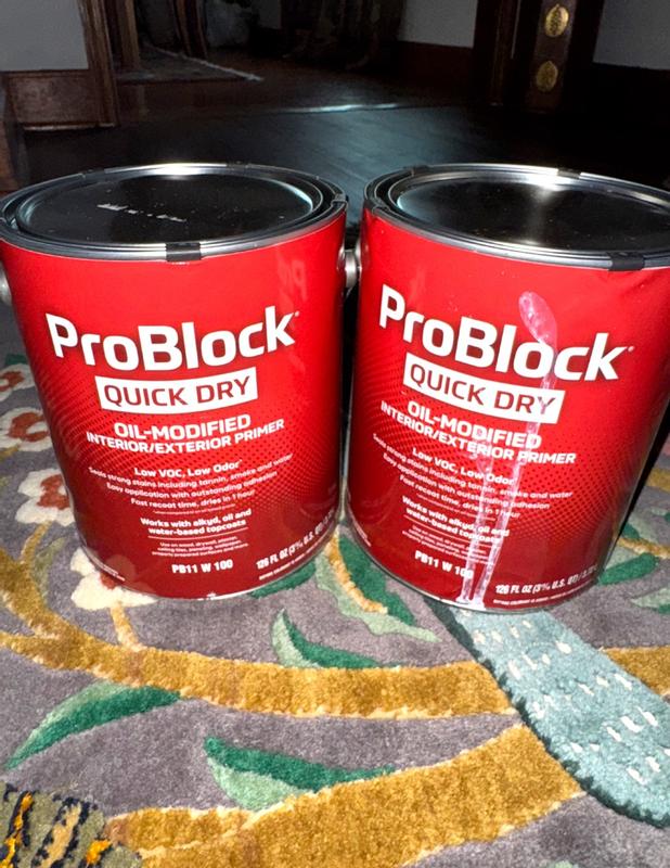 ProBlock Quick Dry Interior High hiding Oil-based Wall and Ceiling ...