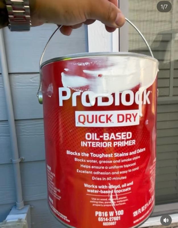 ProBlock Quick Dry Interior High hiding Oil-based Wall and Ceiling ...