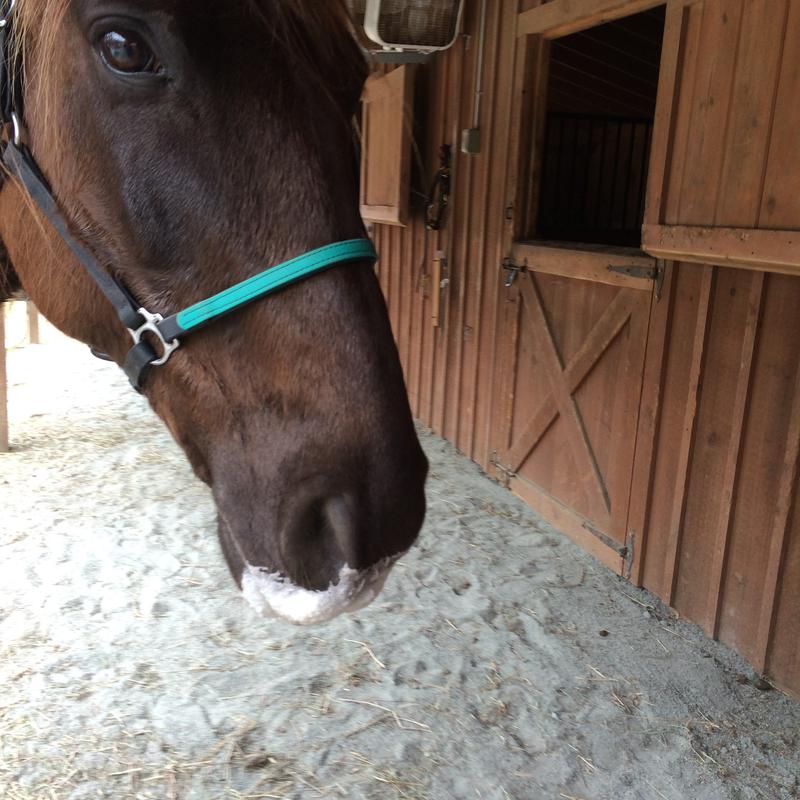 Aaahhh - love my Aqua Aide!