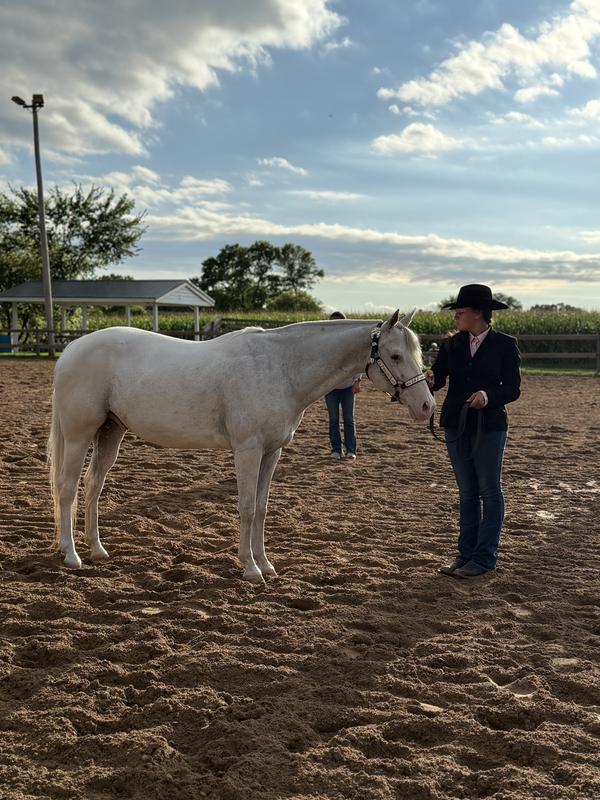 Us in halter class!
