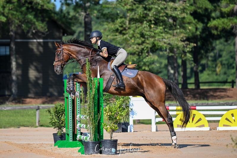 Showing in August 2024