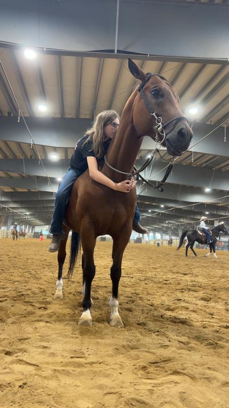 Enjoy cuddle after a good run.