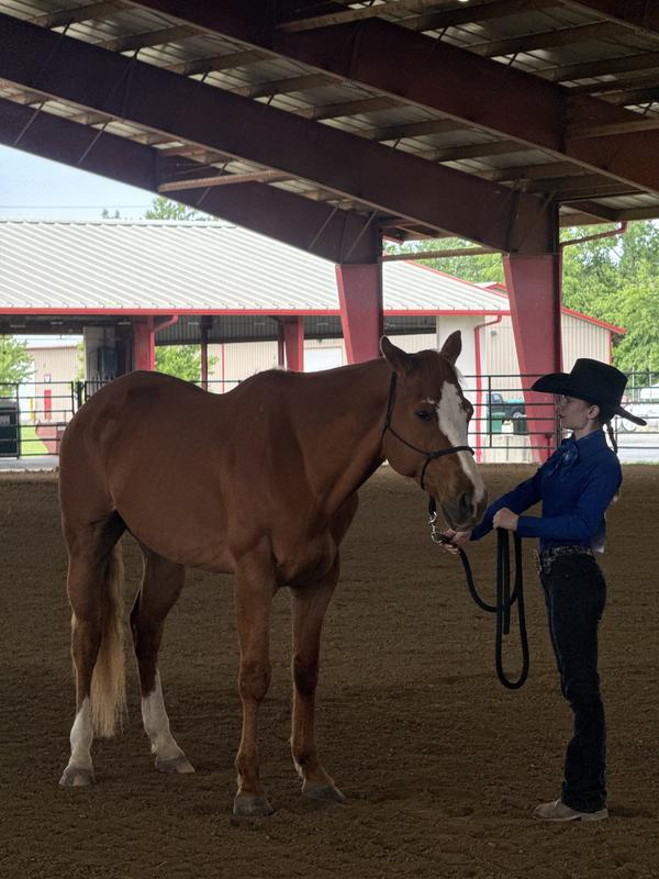 Result of 2 months on the new grain!