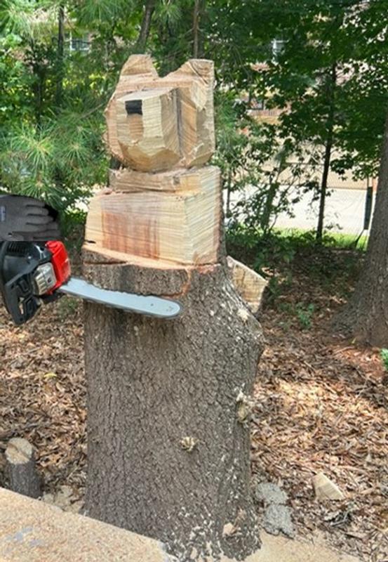 chainsaw bear!
