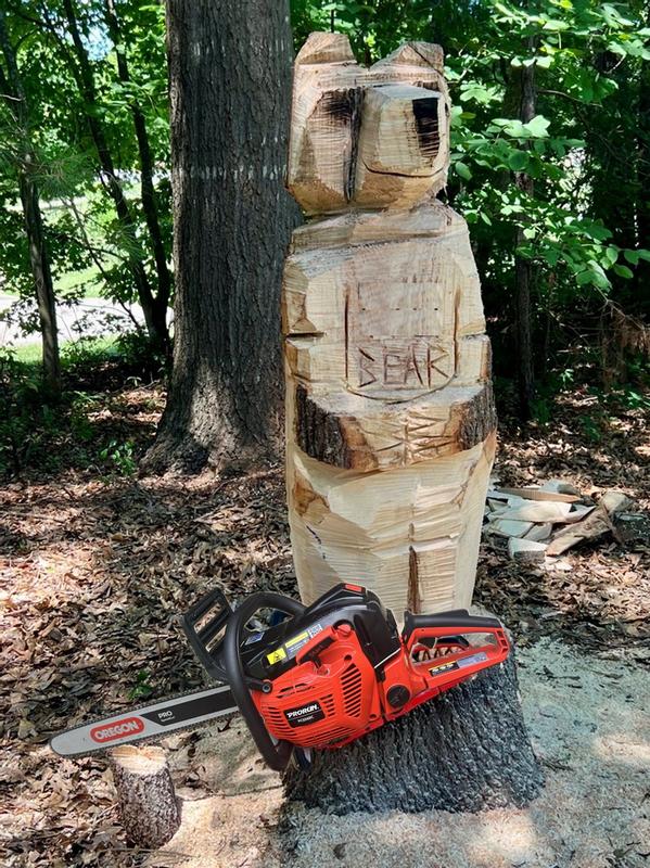 CHAINSAW BEAR !!!